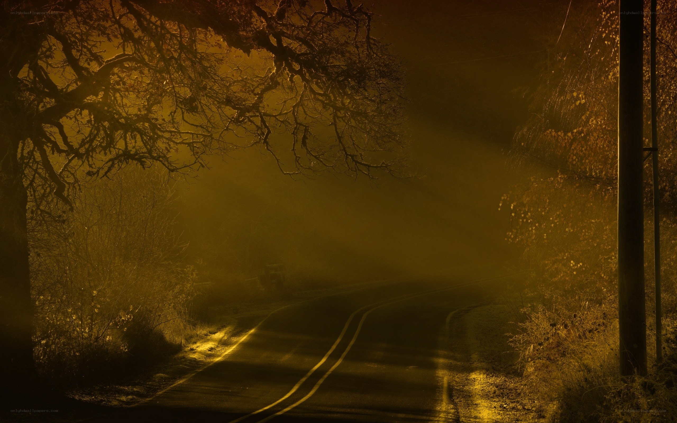 Misty Road at Dusk