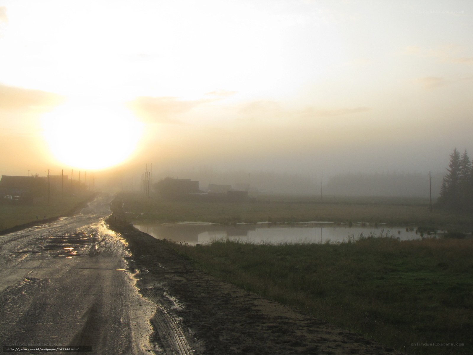 Misty Road at Sunrise