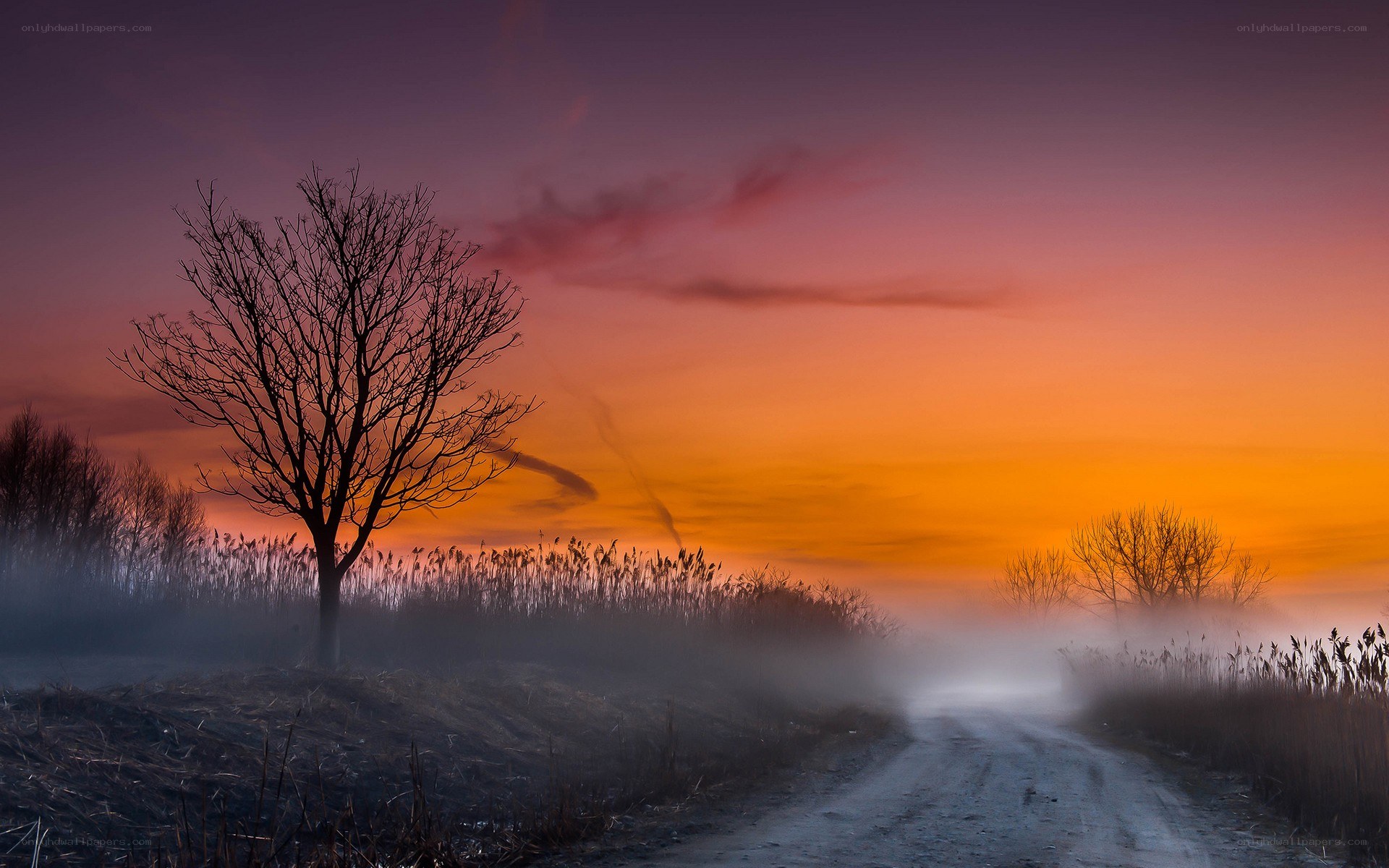 Misty road at sunset