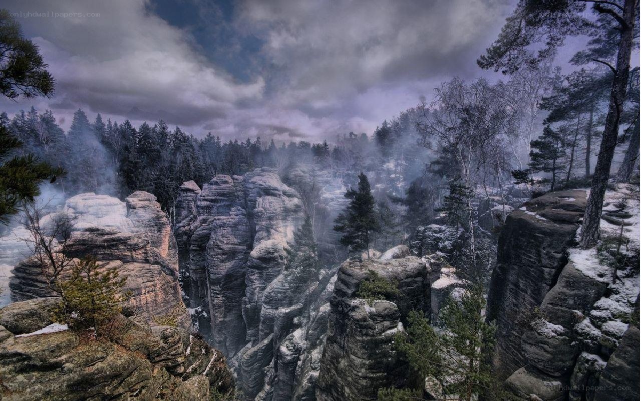 Misty rock formations in forest