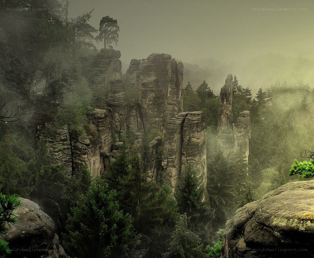 Misty rock formations in forest