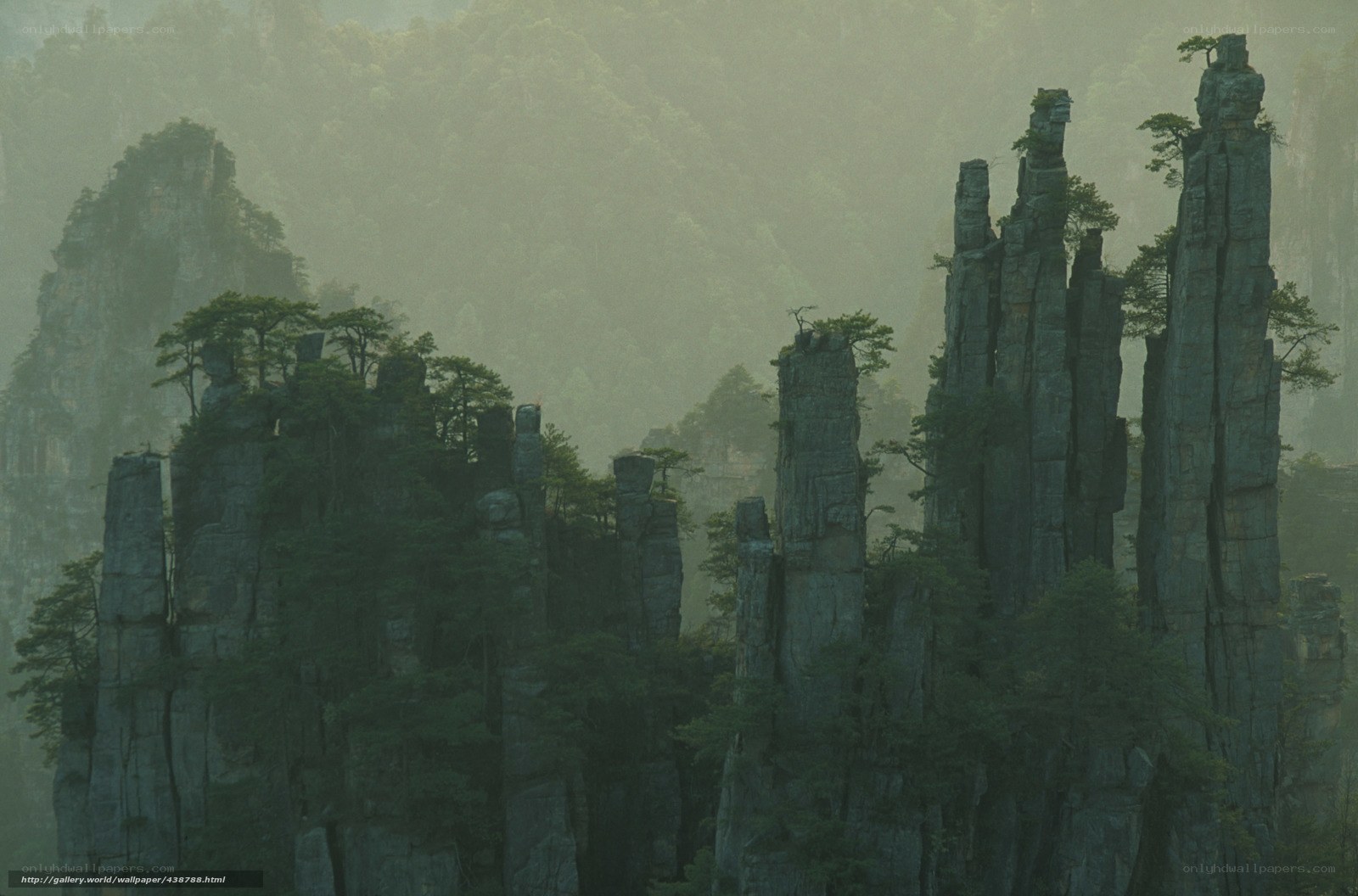 Misty rock pillars in forest