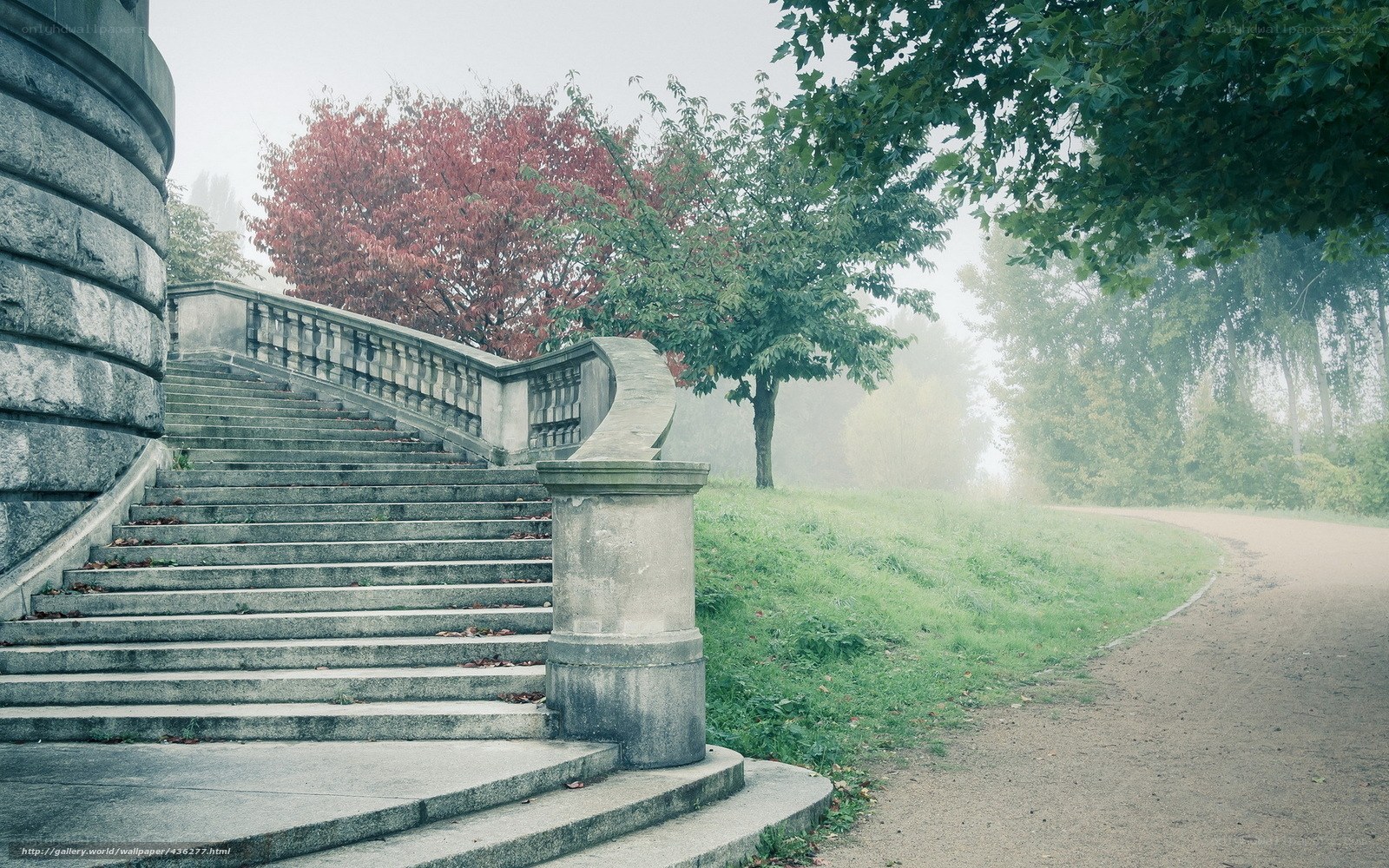 Misty stone staircase in park