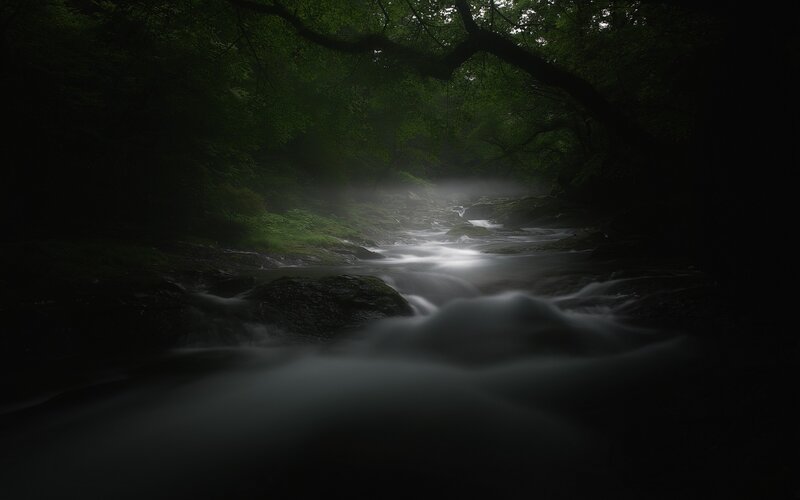 Misty stream in a forest