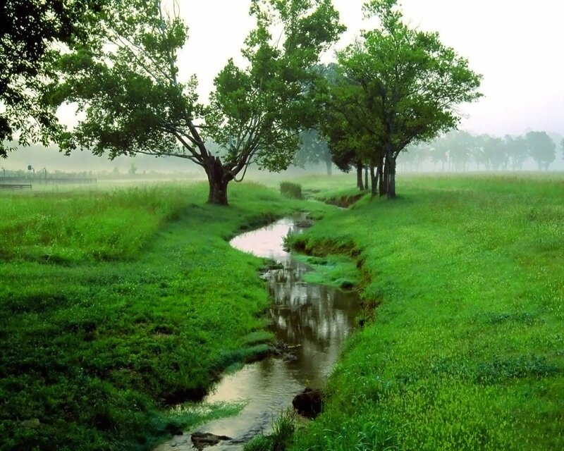 Misty stream in a green field