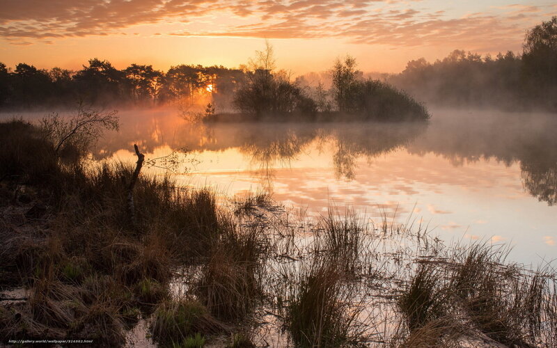 Misty sunrise over a calm lake