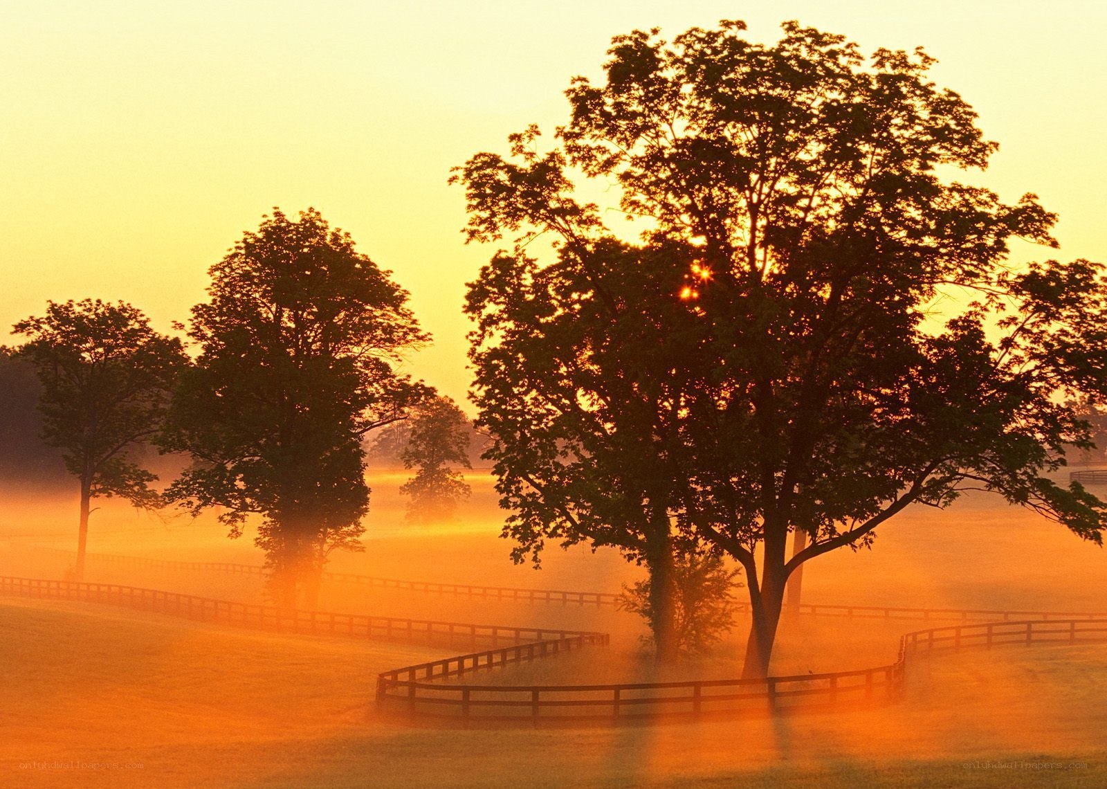Misty sunrise over a farm