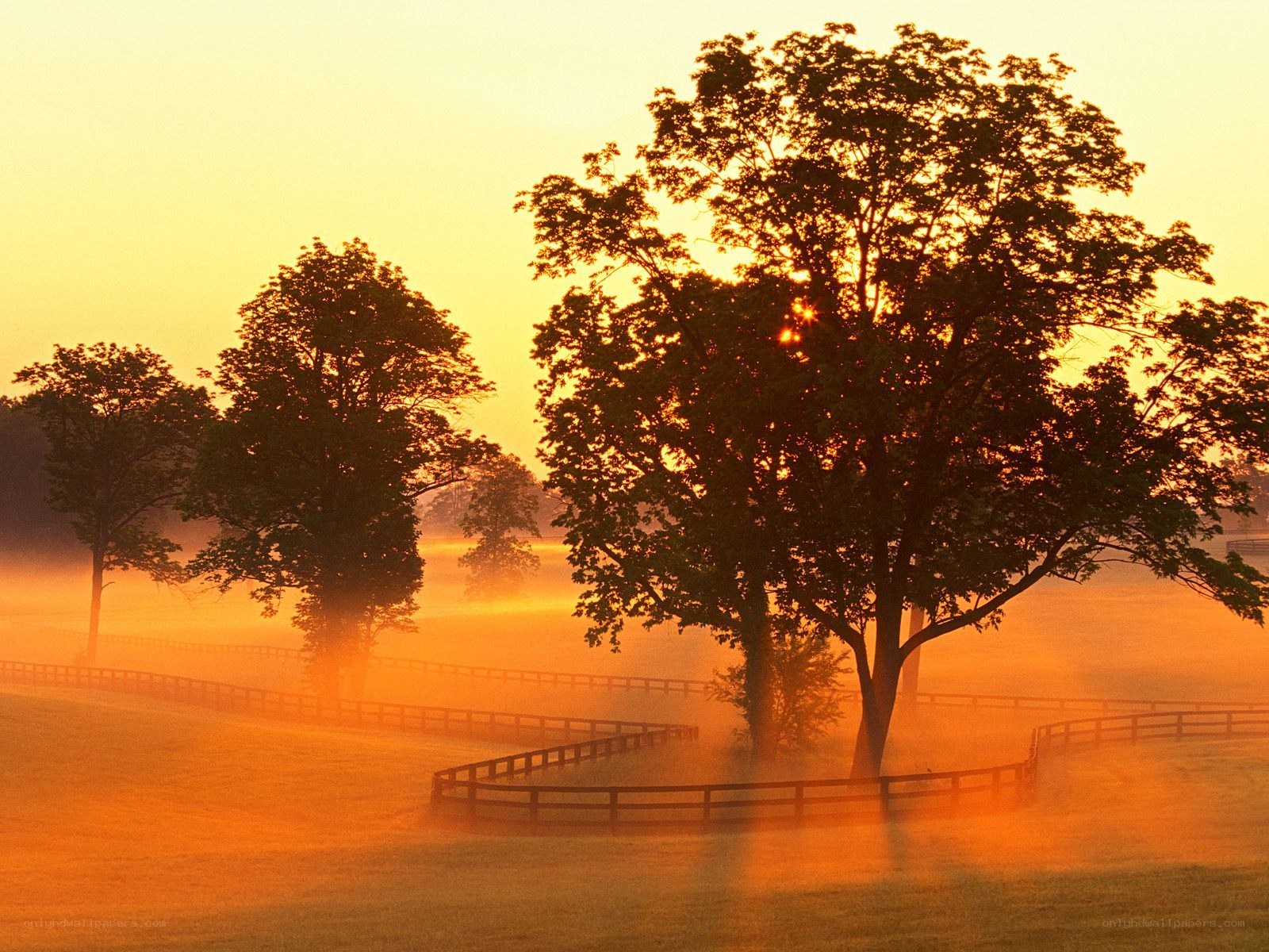 Misty sunrise over a field