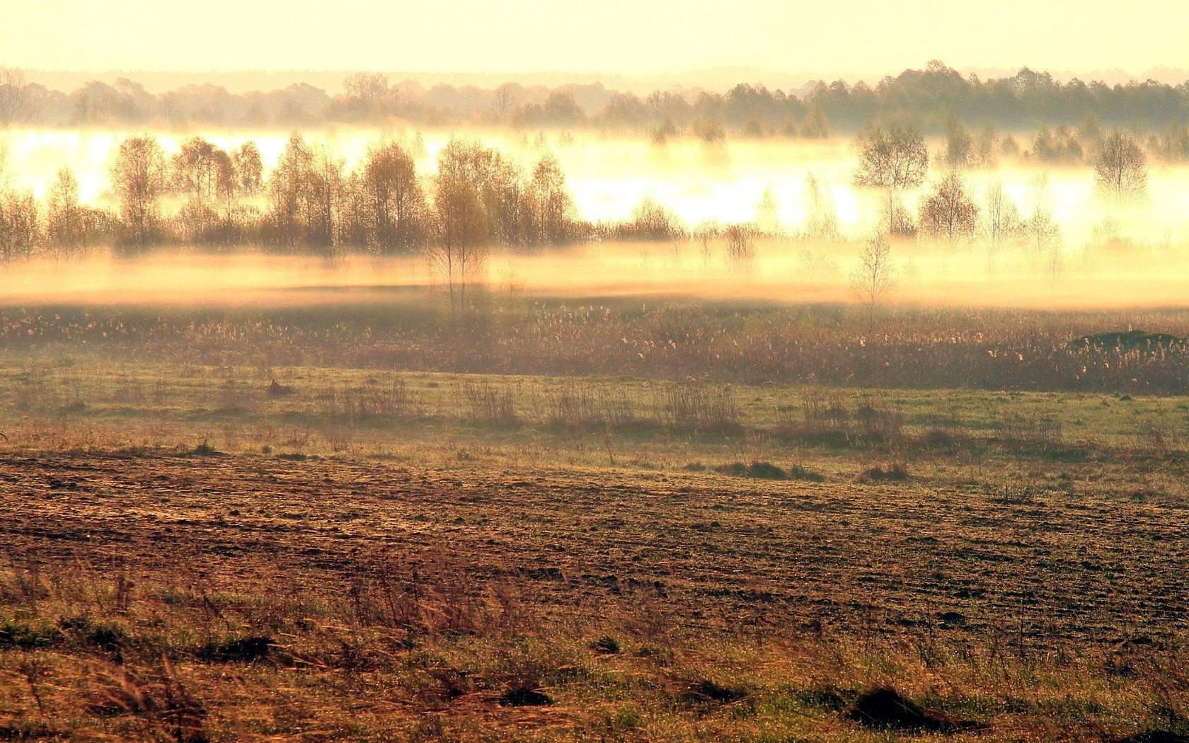 Misty sunrise over a field