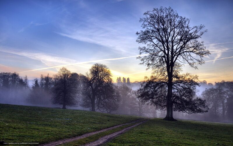 Misty sunrise over a rural landscape