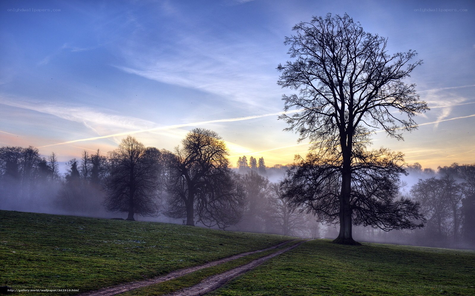 Misty sunrise over a rural landscape