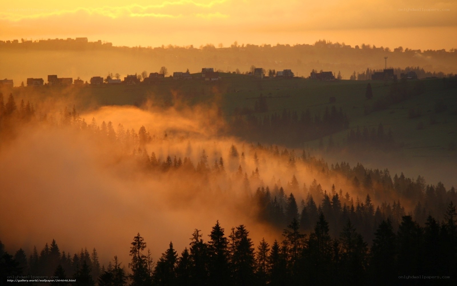 Misty sunrise over forested hills