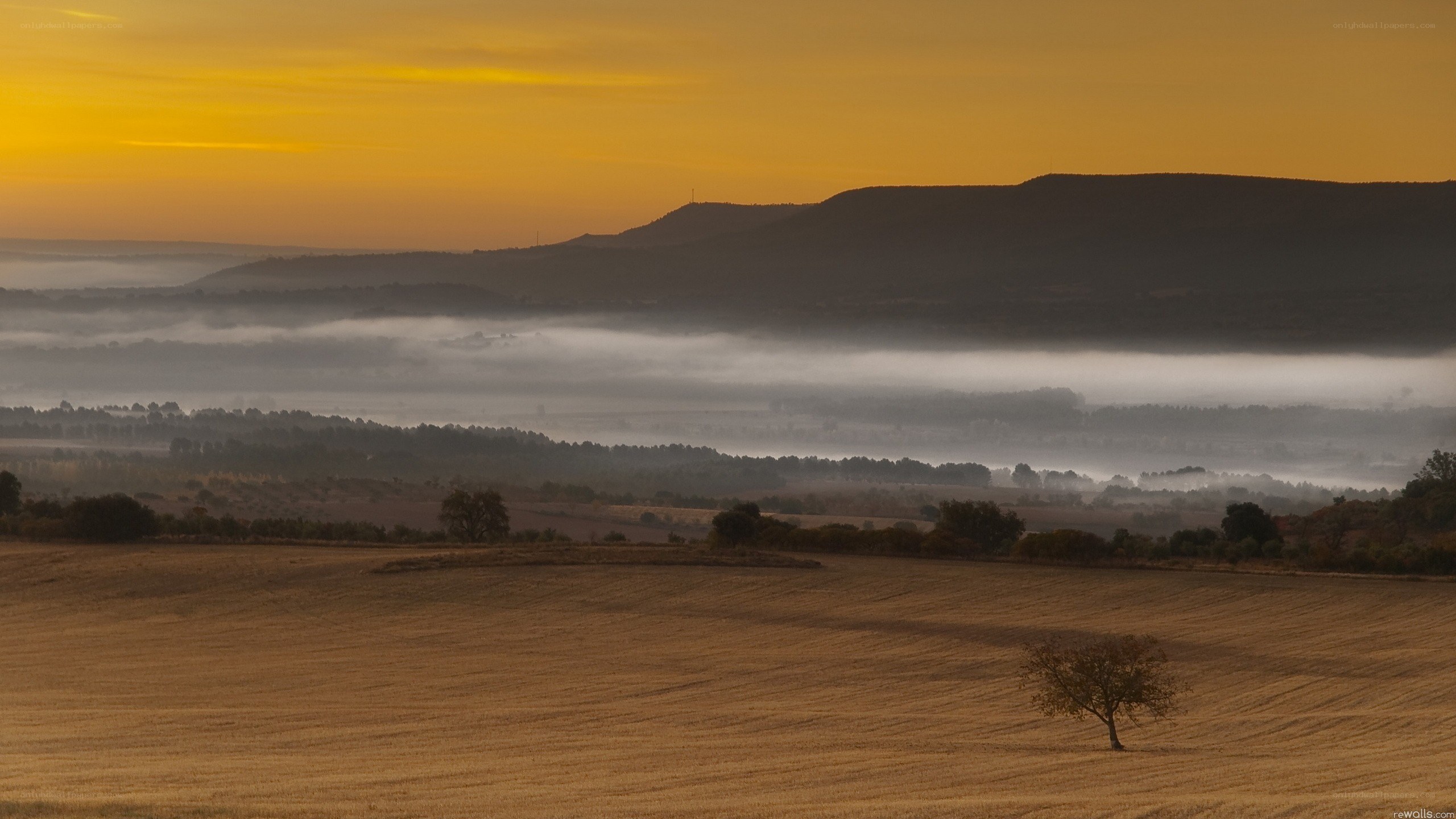 Misty sunrise over rolling hills