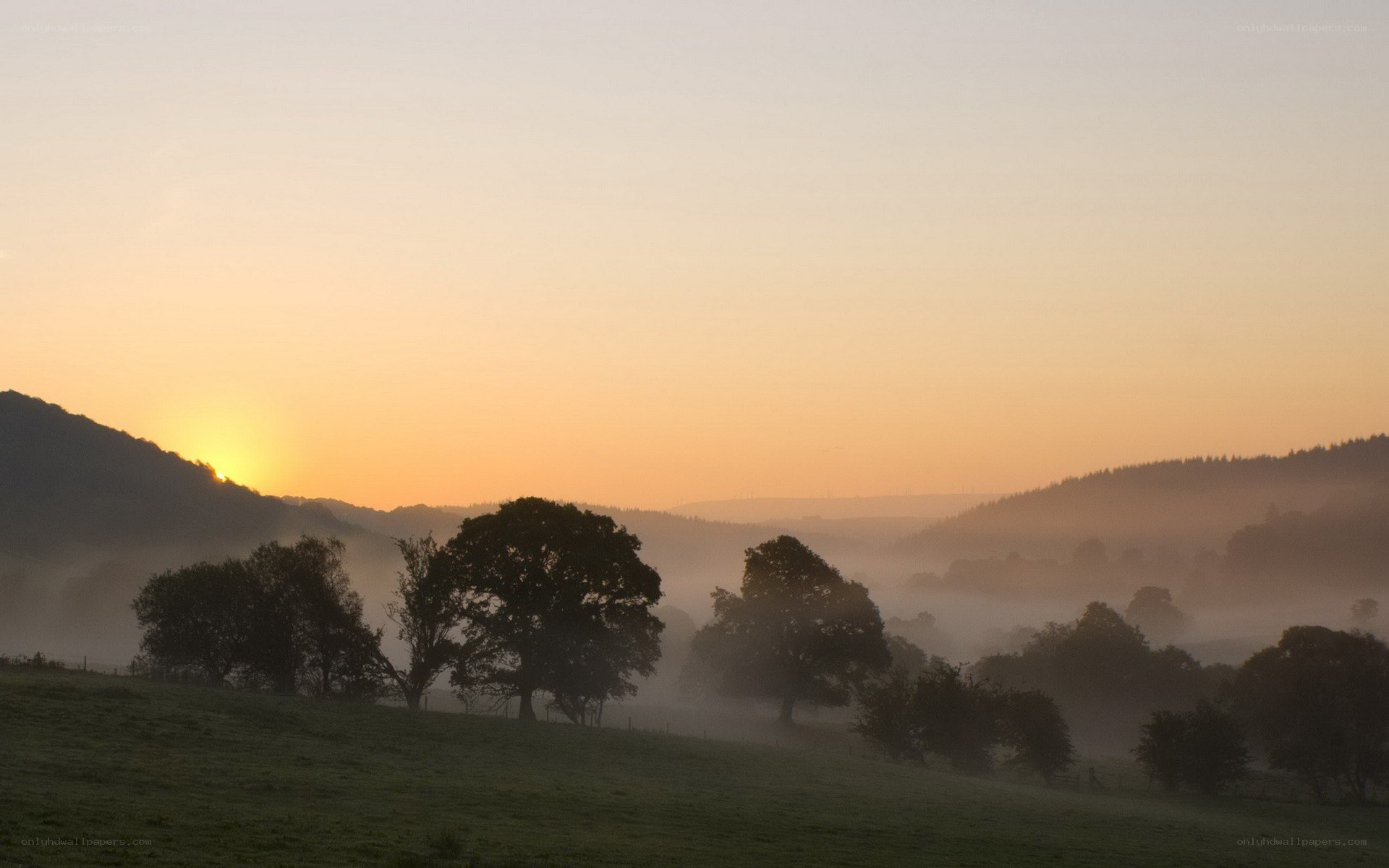 Misty sunrise over rolling hills