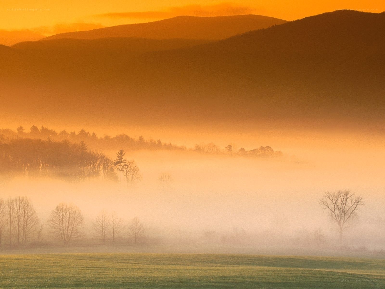 Misty sunrise over rolling hills
