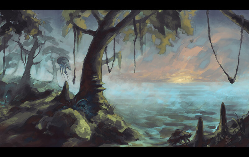 Misty swamp at sunset