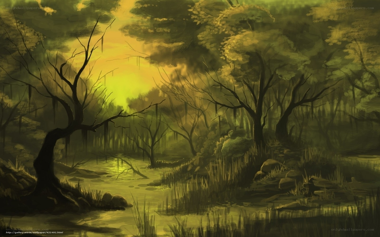 Misty swamp at sunset