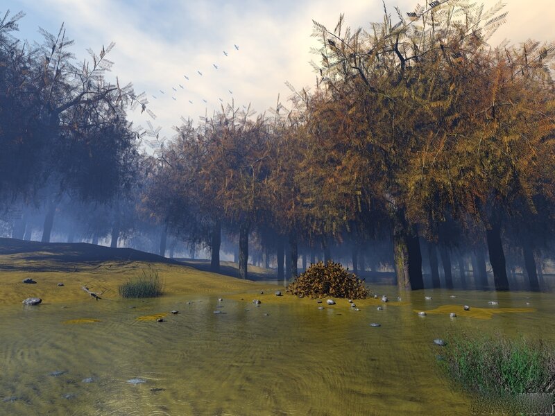 Misty swamp forest