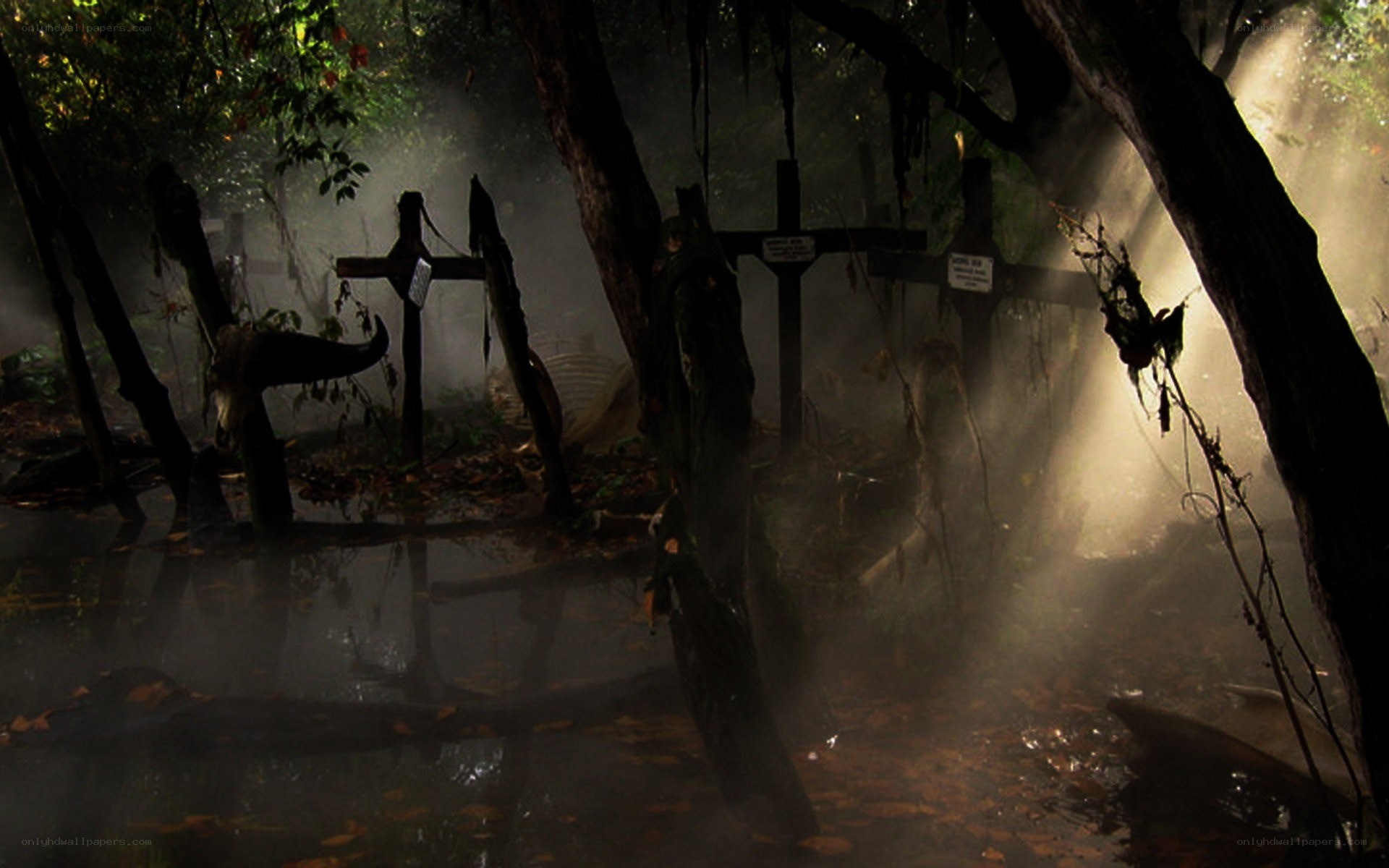 Misty swamp graveyard