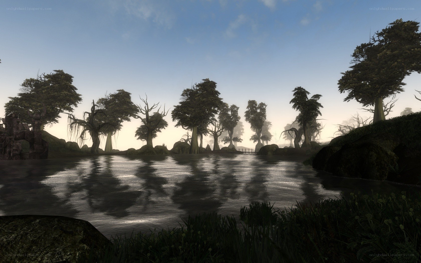 misty swamp landscape