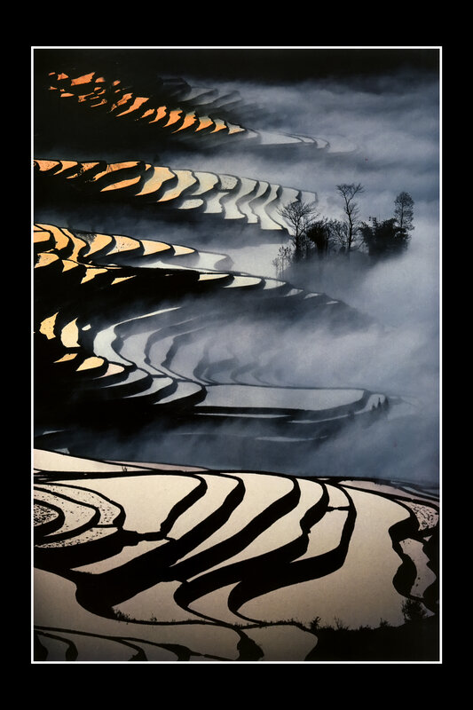 Misty Terraced Rice Fields
