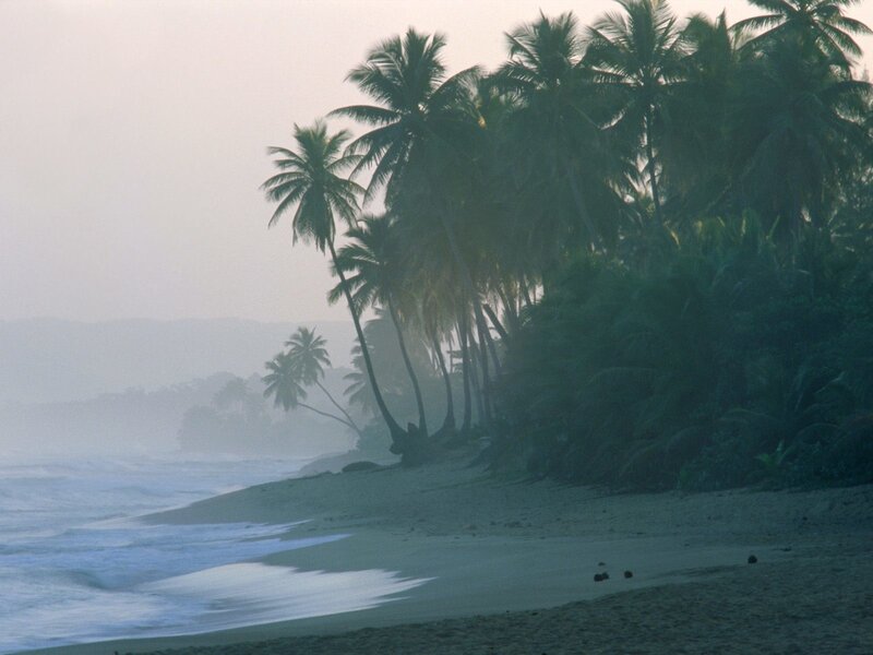 misty tropical beach at dawn