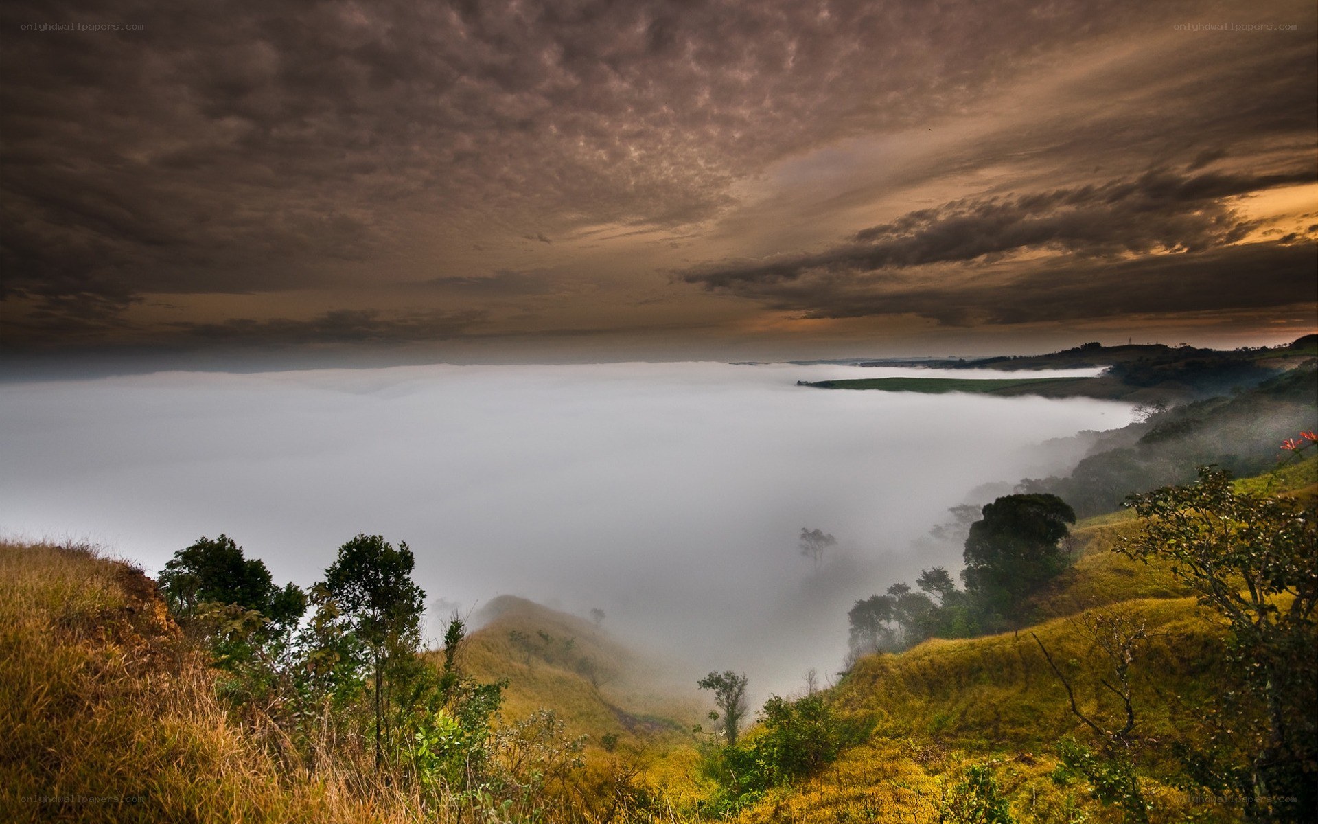 Misty valley at dawn