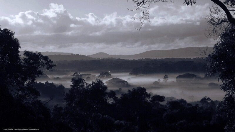 Misty Valley at Dawn — Gray