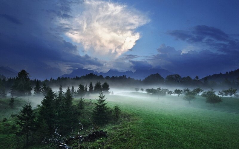 Misty Valley at Dawn — Green