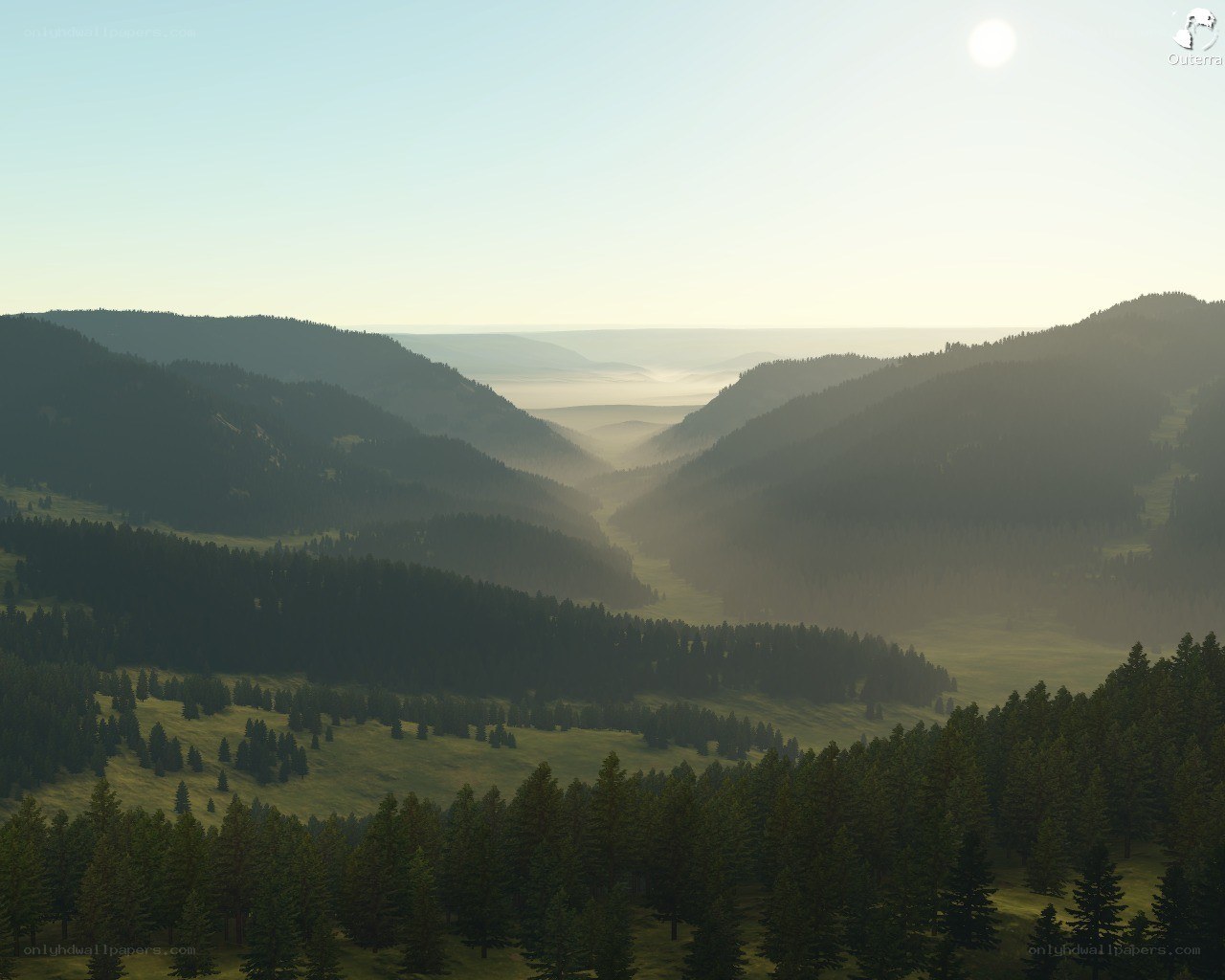 Misty valley at sunrise