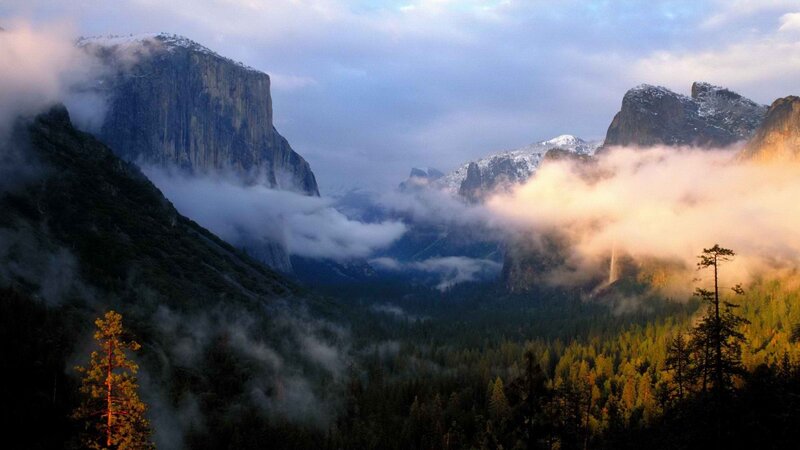 Misty valley at sunrise