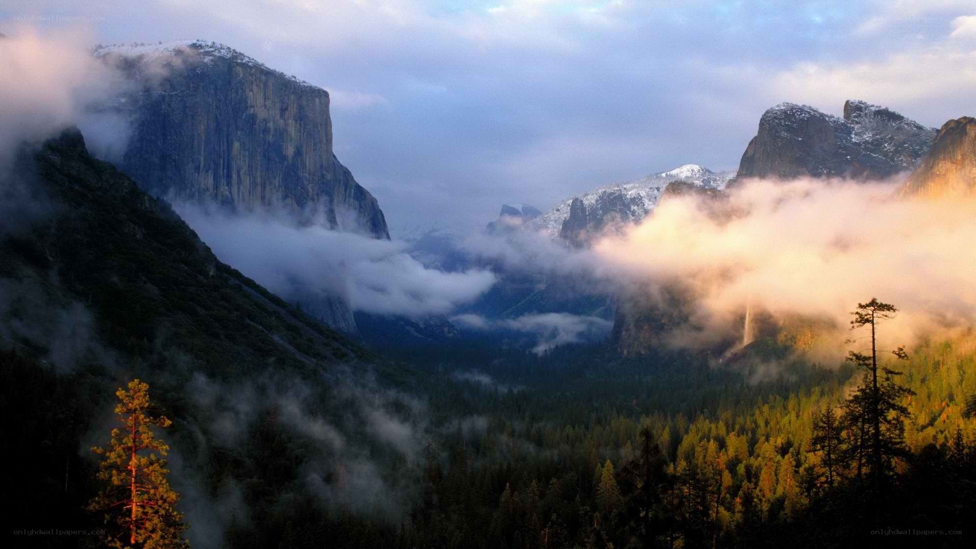 Misty valley at sunrise