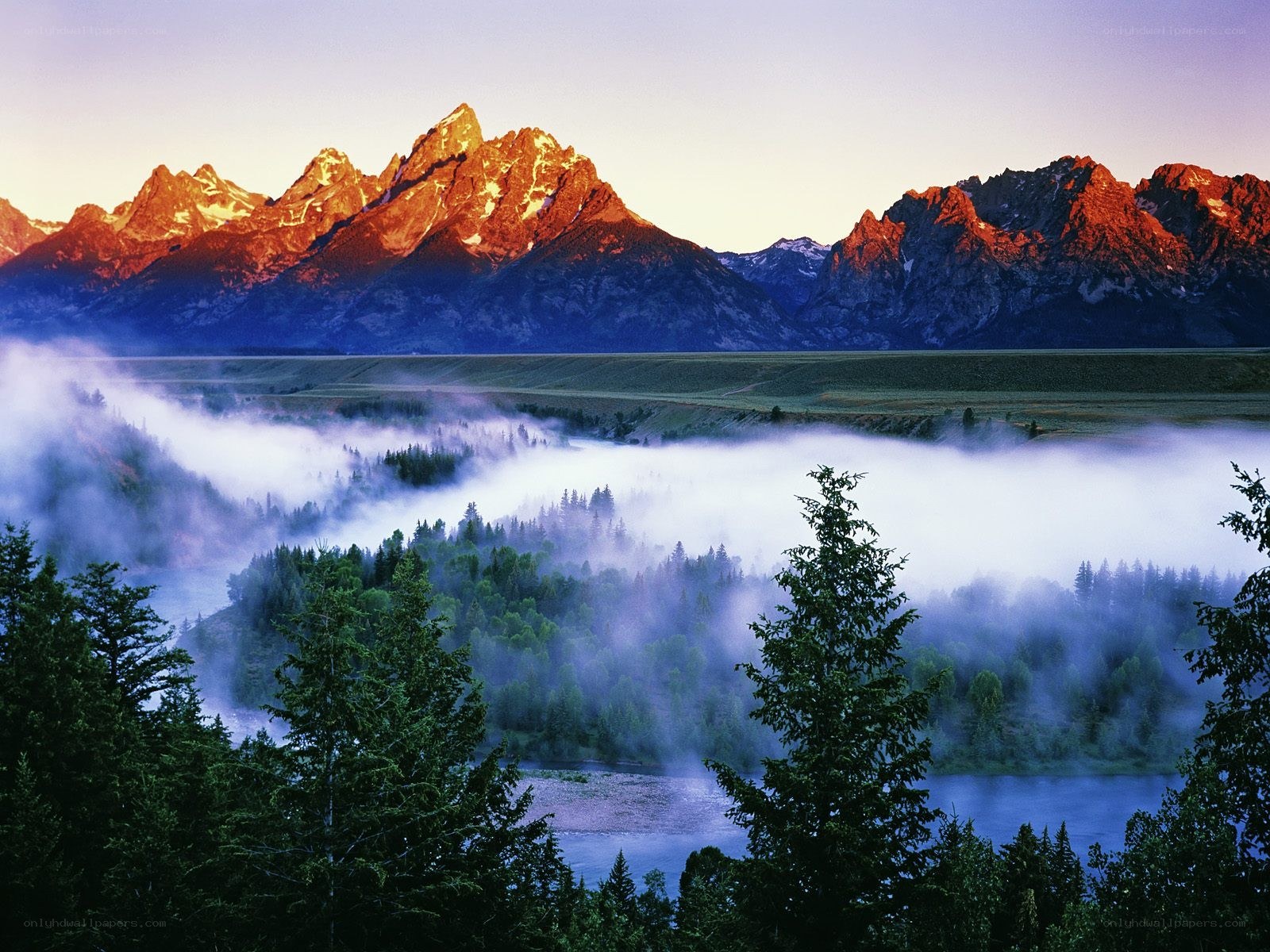 Misty valley at sunrise