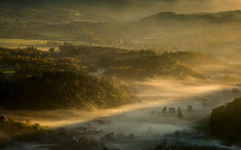Misty Valley at Sunrise — Gold, Serene
