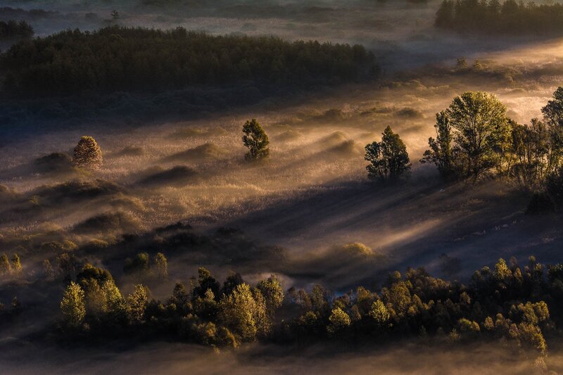 Misty Valley at Sunrise — Green, Serene, Photograph, Trees