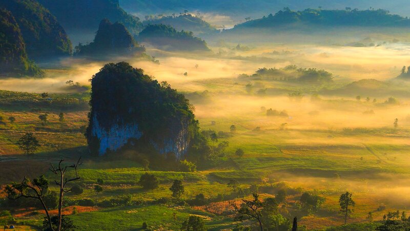 Misty Valley at Sunrise — Green, Serene