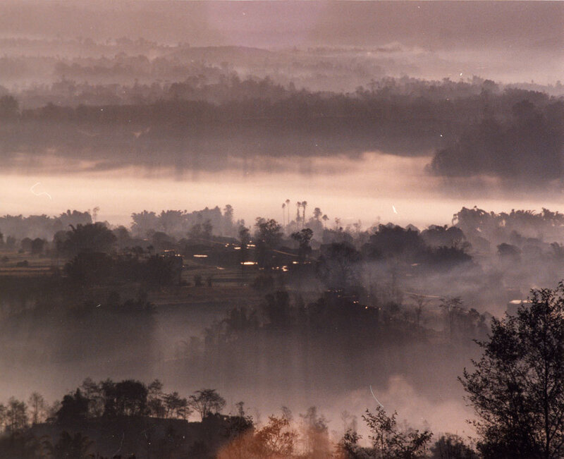 Misty Valley Landscape — Brown