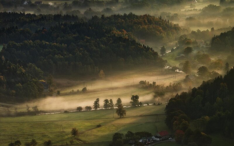 Misty Valley Landscape — Green, Serene, Morning