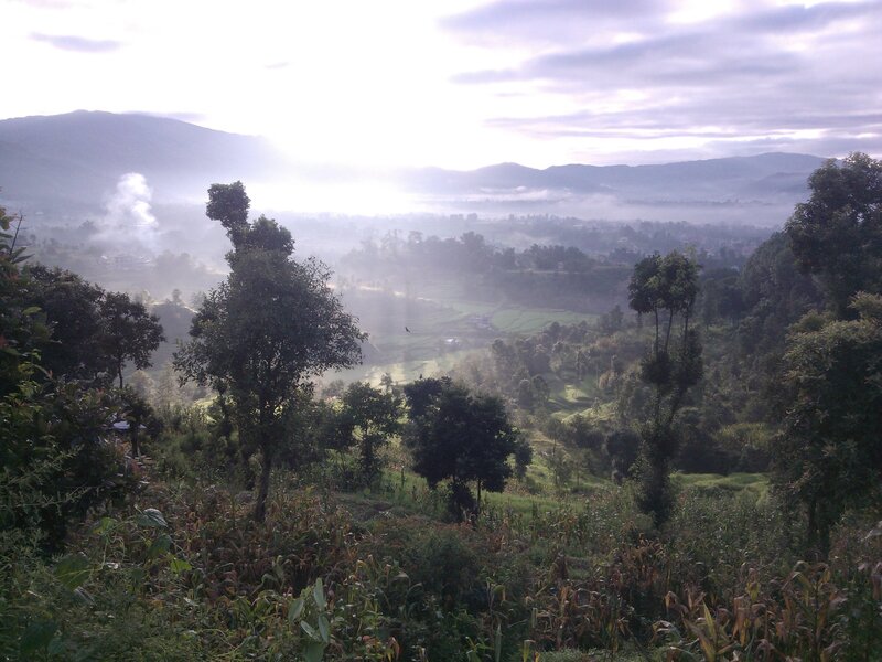 Misty Valley Landscape — Green