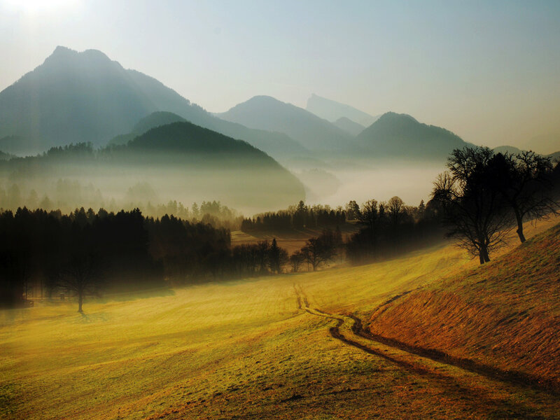 Misty Valley with Mountains