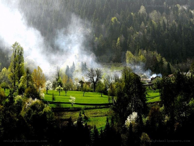 misty valley with smoke