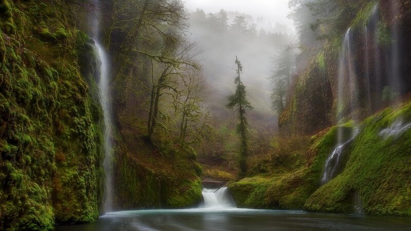 Misty waterfall in a forest
