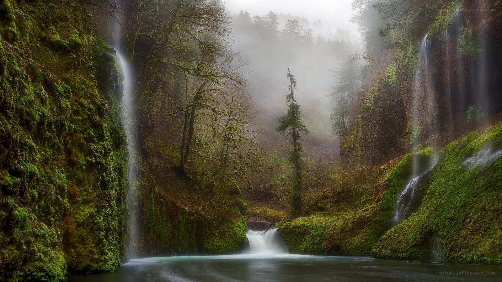 Misty waterfall in a forest