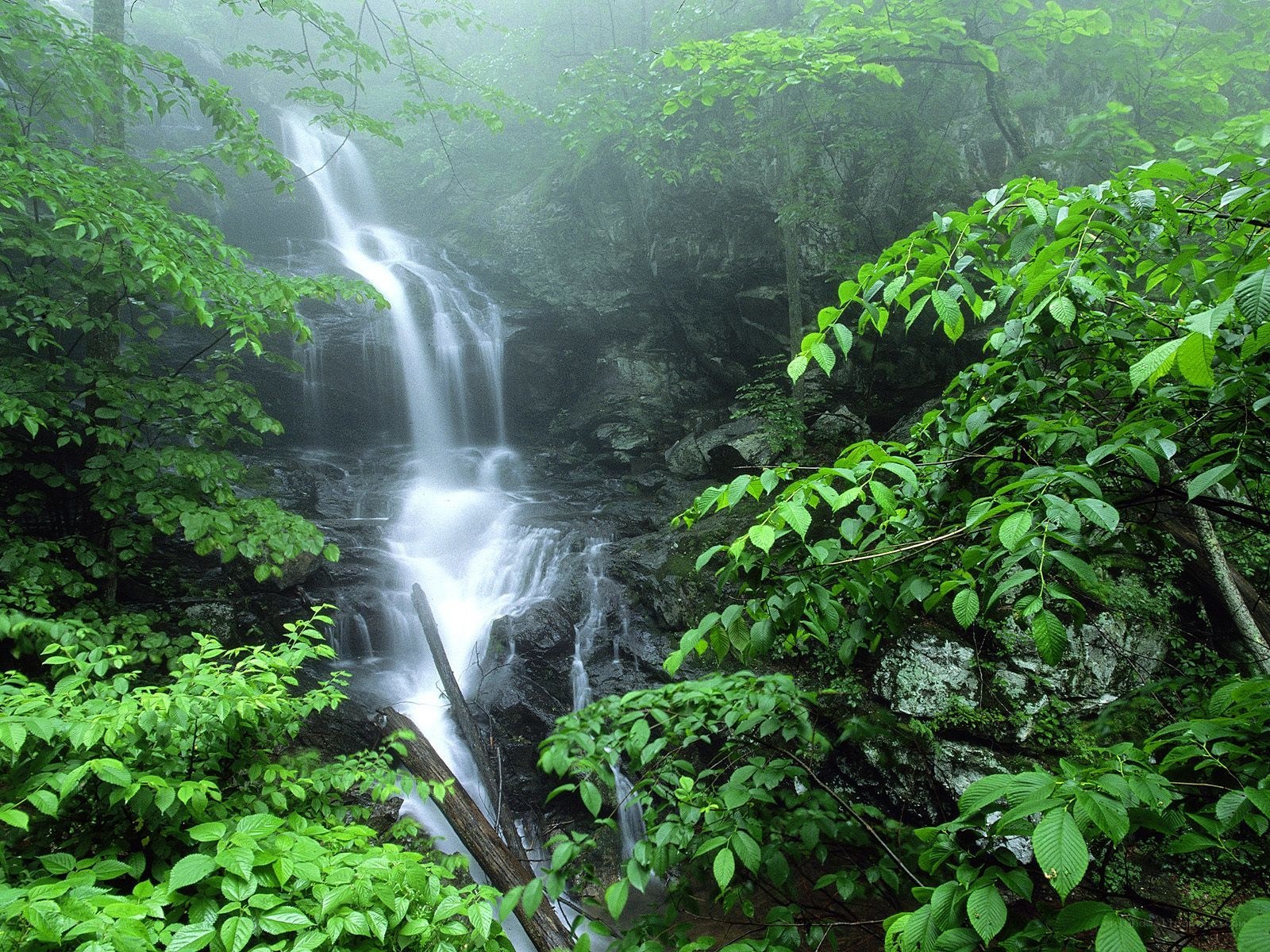 Misty waterfall in forest
