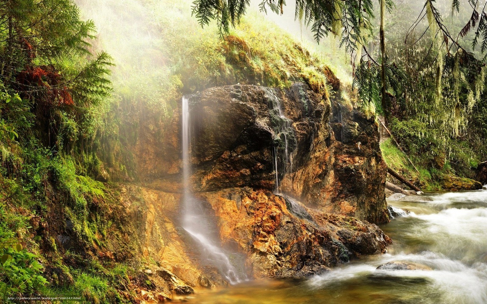 Misty waterfall in forest