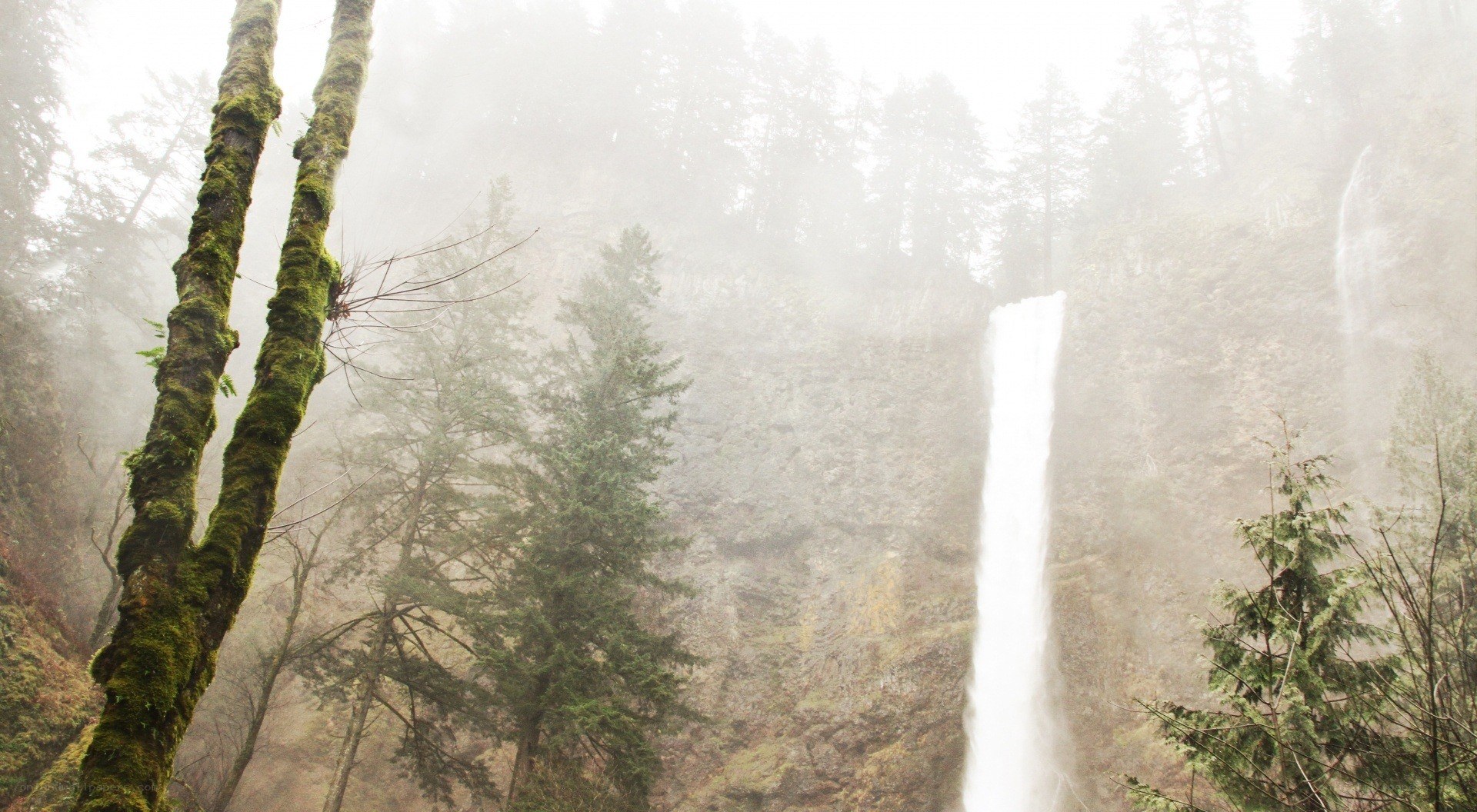 Misty waterfall in forest
