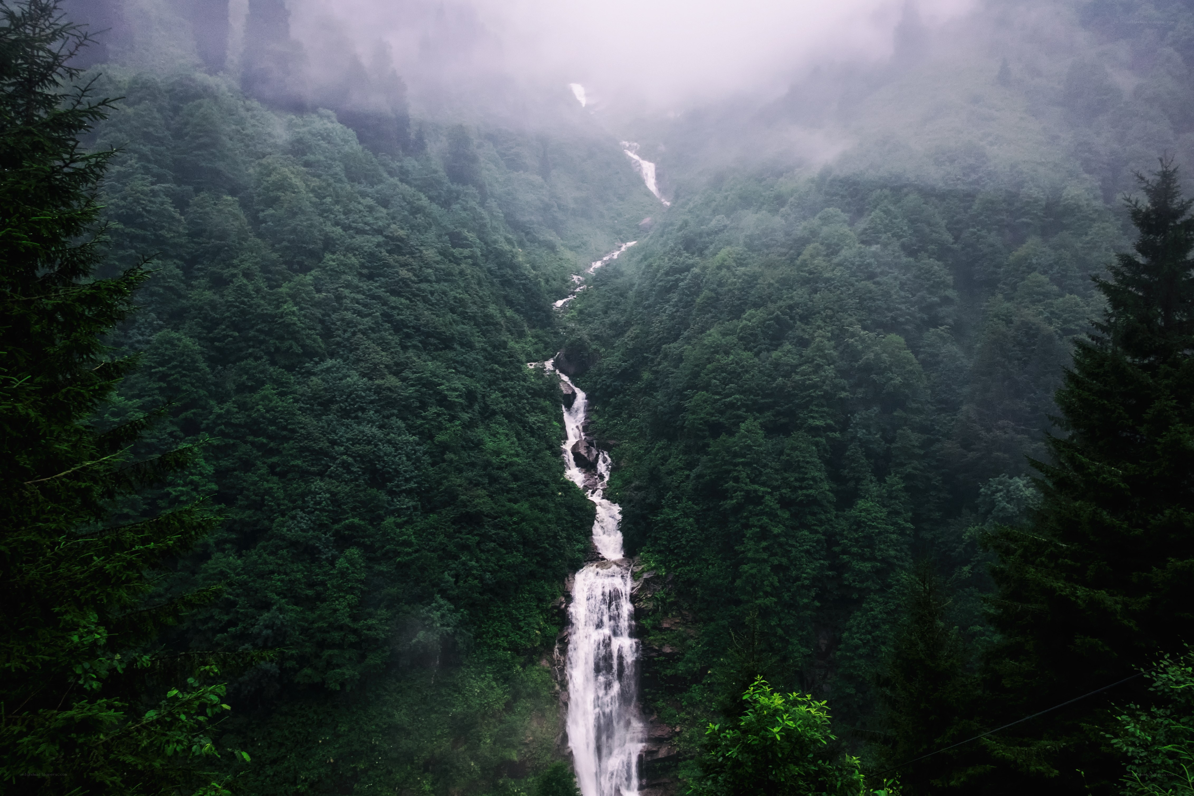 Misty waterfall in forest valley