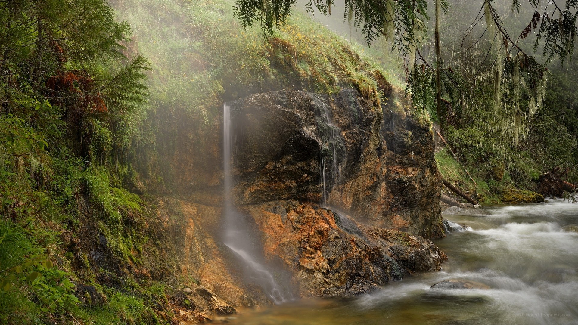 Misty waterfall in forest