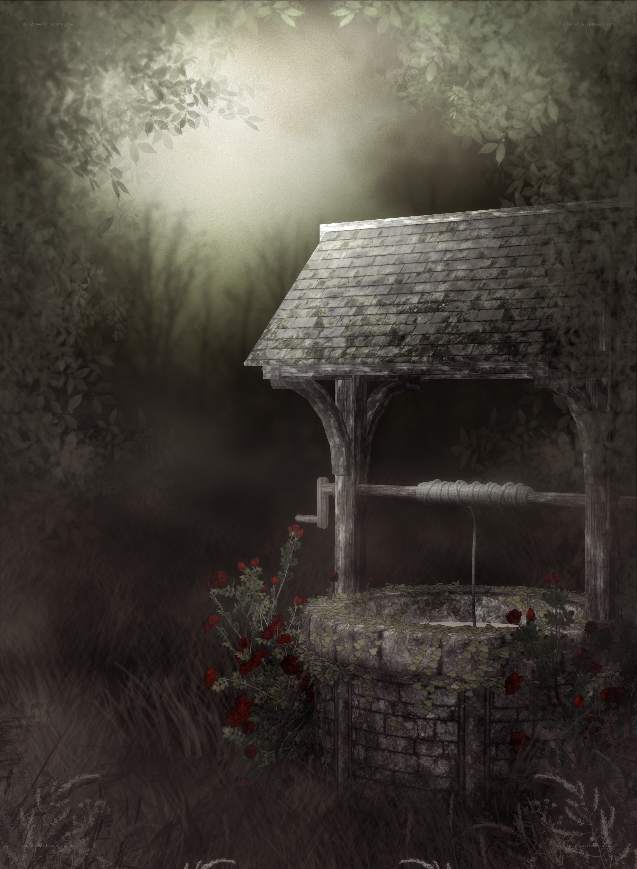 Misty well in a forest