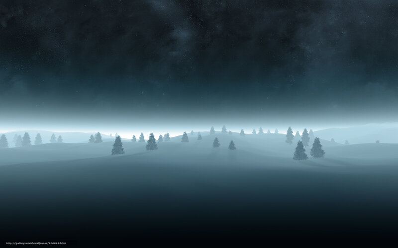 Misty Winter Landscape
